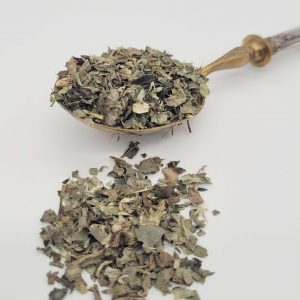 chardon-marie-feuilles-infusion