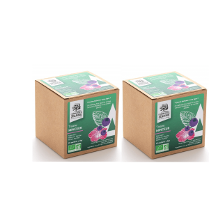 minceur-tisane-infusion-infusette-duo-pack