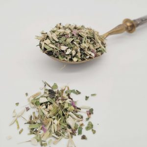 echinacee-pourpre-infusion-defenses-naturelles